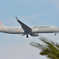 B737 夏は飛行機に乗って旅行に行きたい！