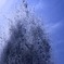 SPLASH！