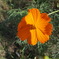 P9100109