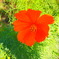 P9100110_01