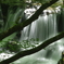 IMGP0823