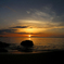 Twilight