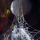 　SPIDER TOWER