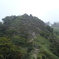 DSC00775
