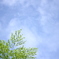 初夏の晴れ間