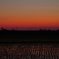 田舎の夕景