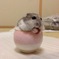コメリ１