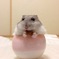 コメリ２