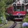 アジサイ列車