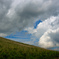 雲