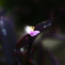 DP3M0573