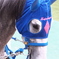 サプライズ