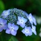 photo_2633566