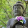 長谷寺のあじさい