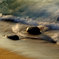 wave