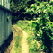 PICT0702
