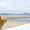 夏だにゃ〜
