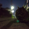 夜遊び