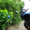 DSC00088