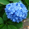 DSC00076
