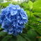 DSC00078