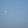 夕方の月