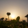 DSC09051