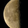 halfmoon