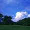 夏の空