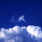 夏の空
