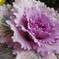 DSC00061