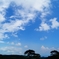 空高く