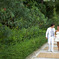 IMG-4900