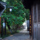 鳥鎮路地・温故知新