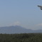 JAL