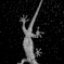 星家守