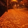 Lonely Way