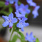 DPP_67139