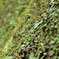 photo_2656637