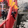 目黒川の桜