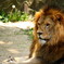 動物園にて　1