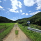 田舎道