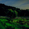 20130706-hotaru