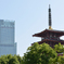 顔合わせ