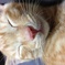 photo_2662755