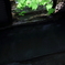 #14 Shelter