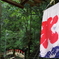黒山三滝にて