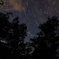 星降る夜に