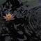 芯：侵