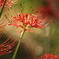 DSC00346